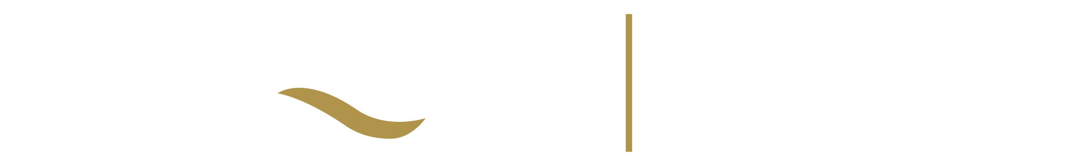 logo-acqua-grupo-inmobiliario-blanco
